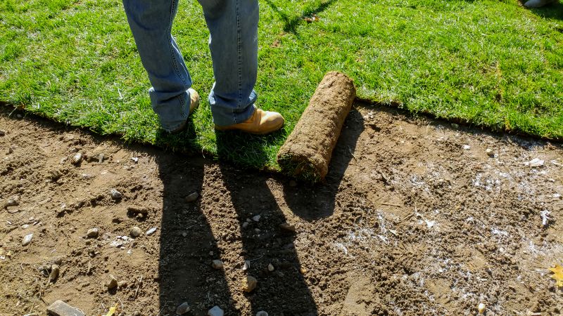 Commercial Sod Installation
